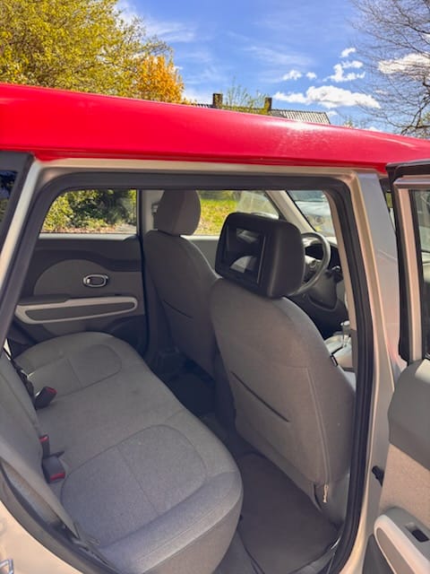 Фото - Kia Soul EV #9