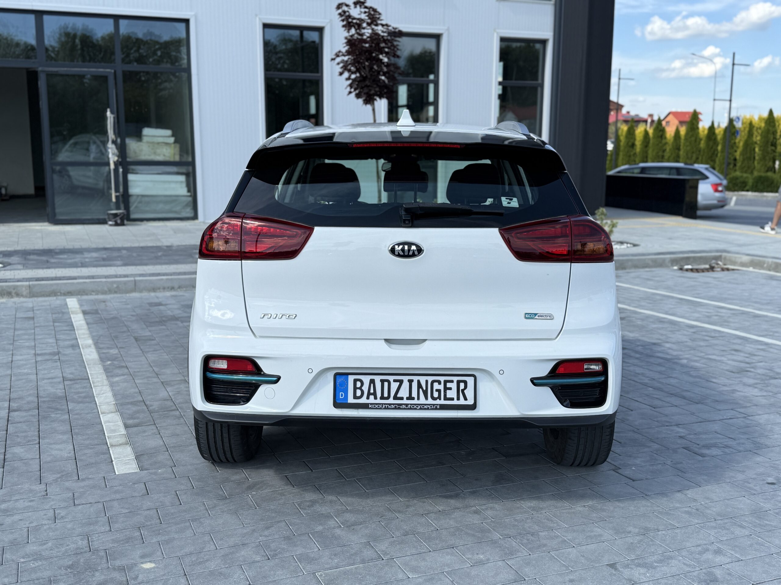 Фото - Kia Niro #3