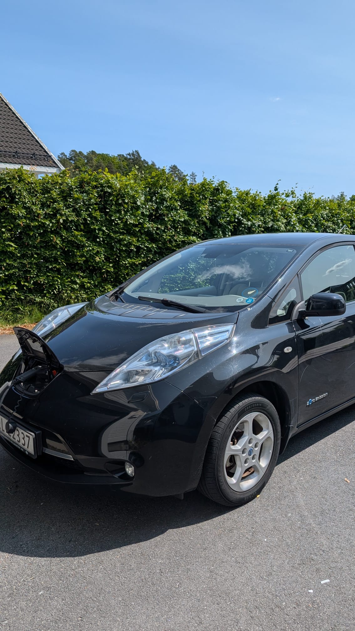 Фото - Nissan Leaf #3