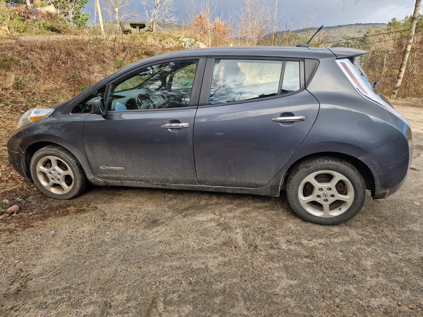 Фото - Nissan Leaf #3