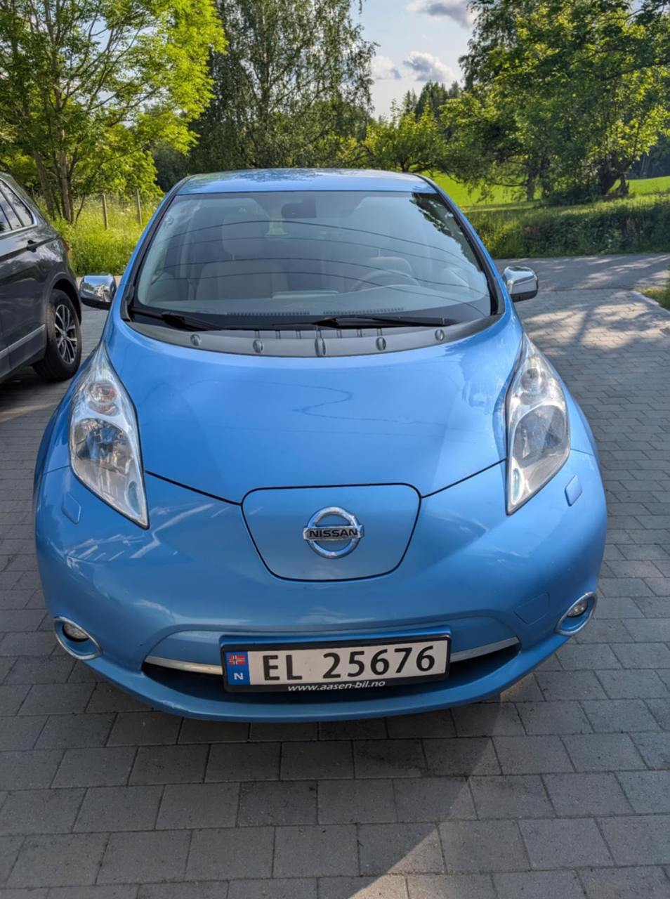 Фото - Nissan Leaf #4