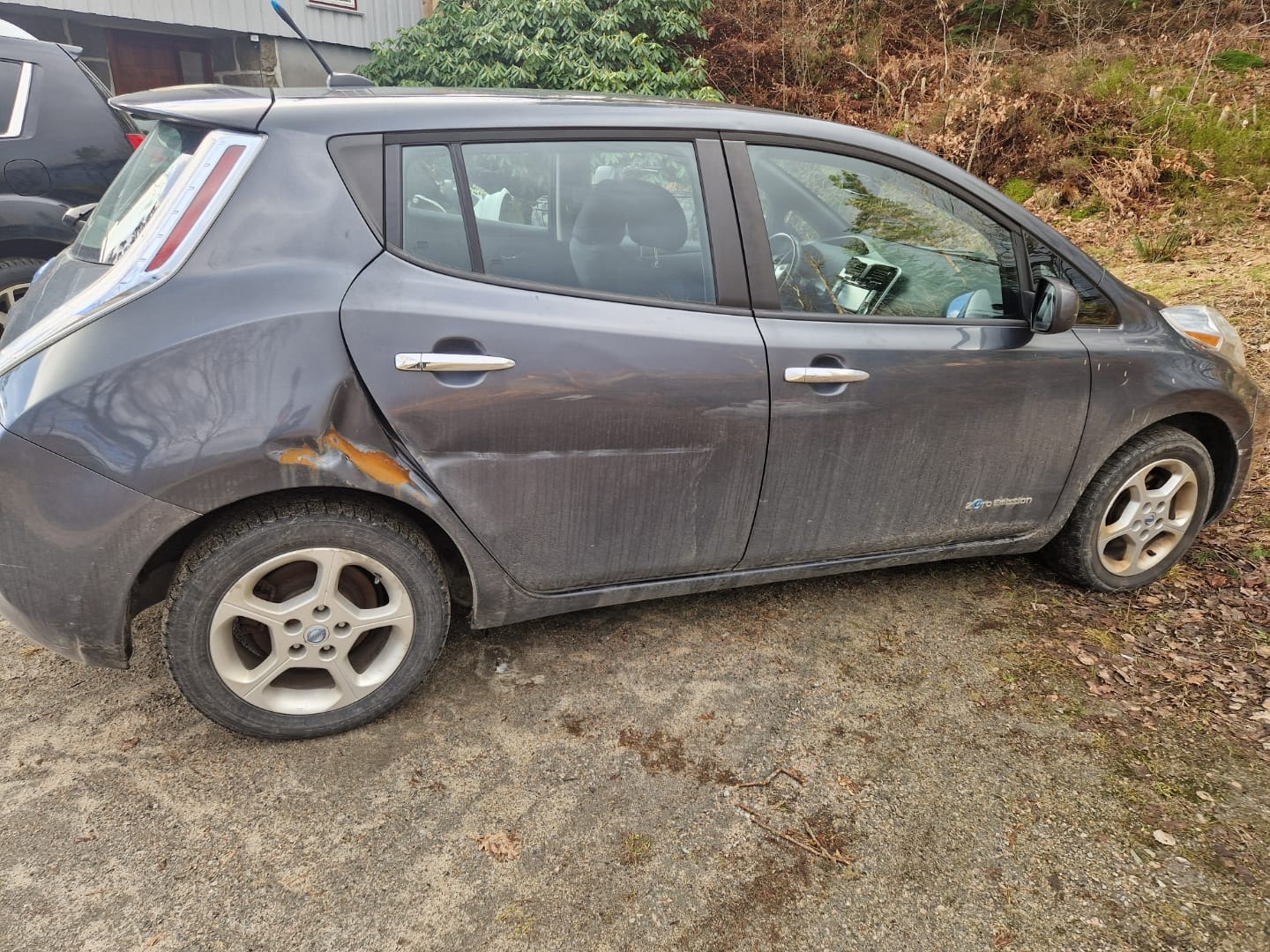 Фото - Nissan Leaf #4