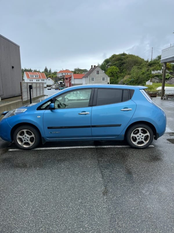 Фото - Nissan Leaf #2