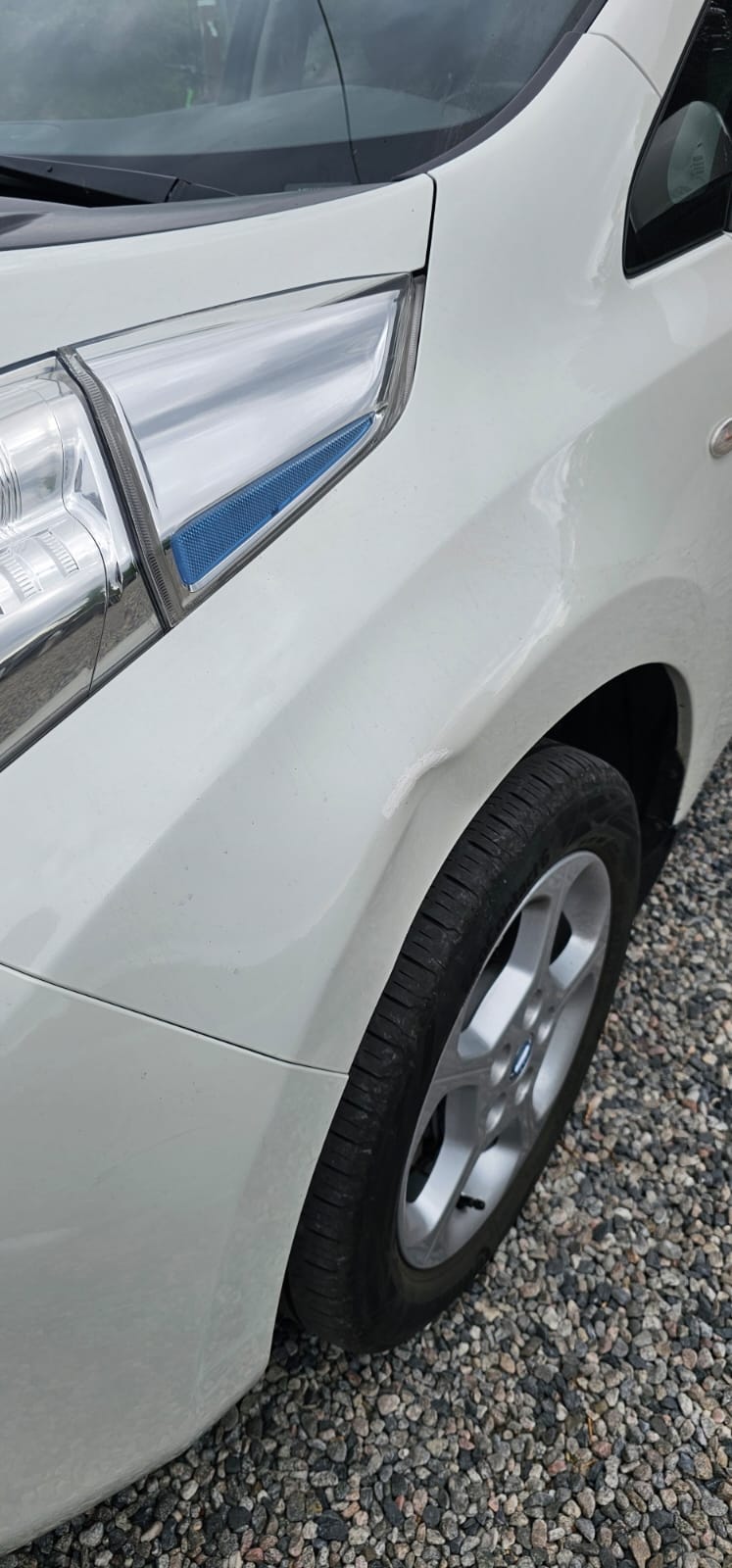 Фото - Nissan Leaf #6