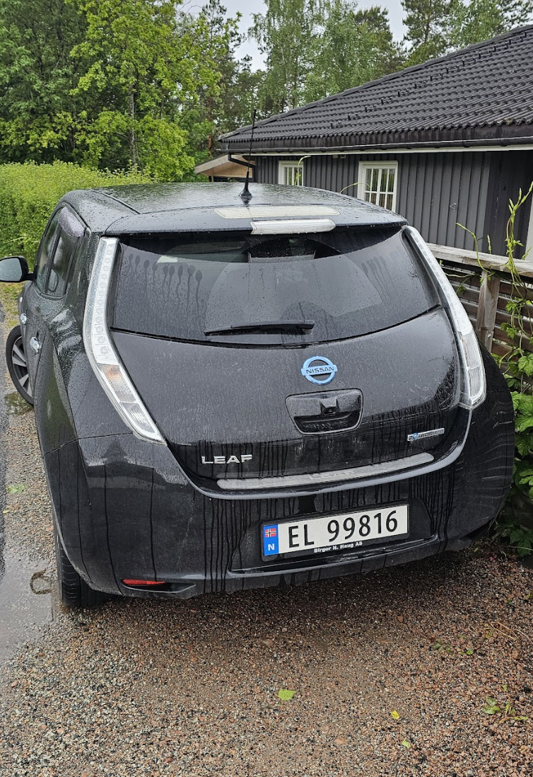 Фото - Nissan Leaf #2