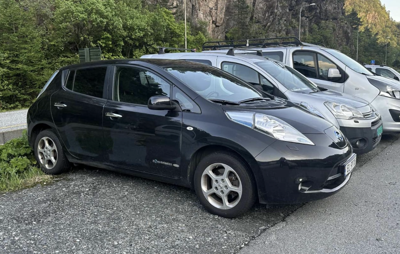 Фото - Nissan Leaf #2
