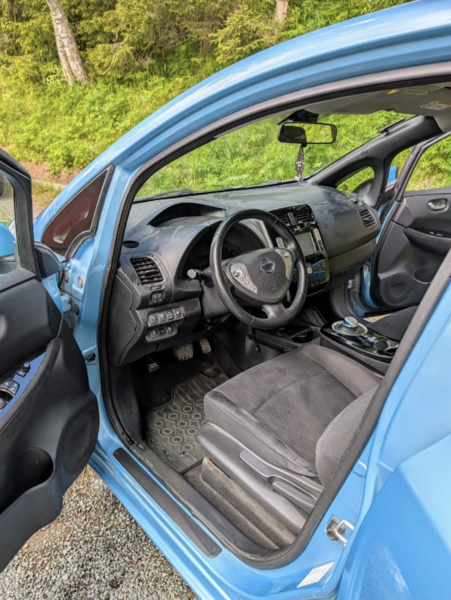 Фото - Nissan Leaf #8