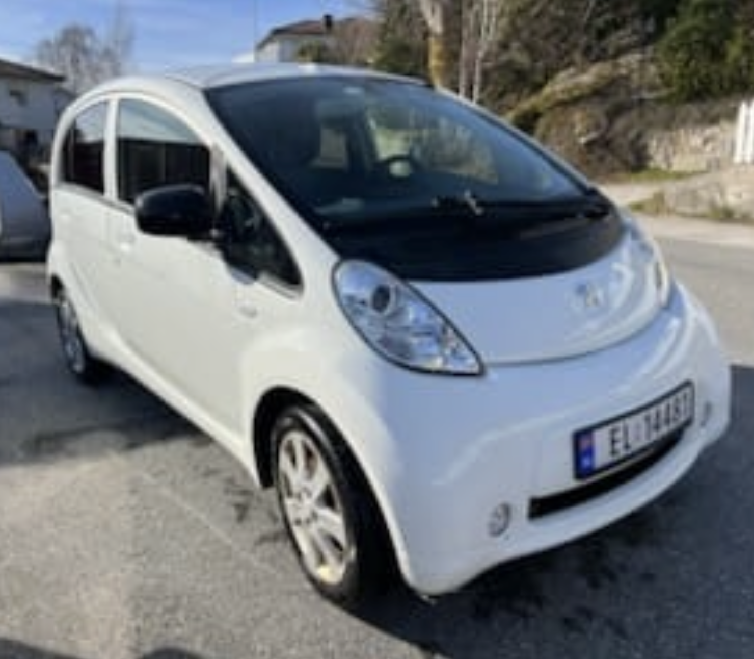 Фото - Peugeot Ion #2
