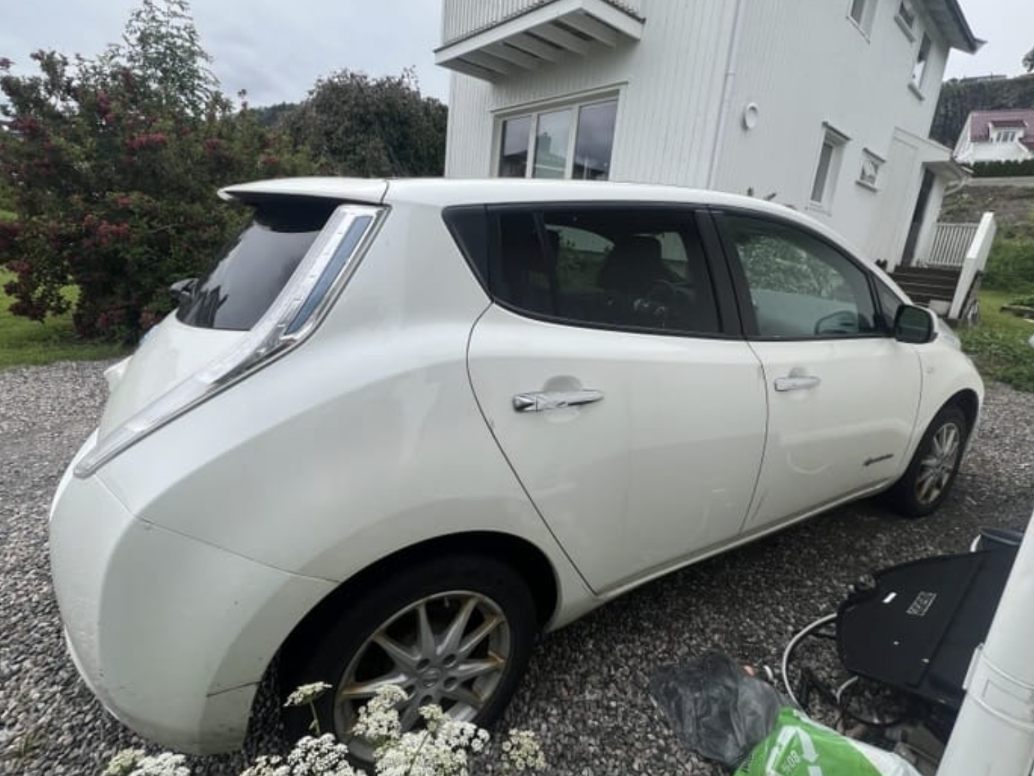 Фото - Nissan Leaf #2