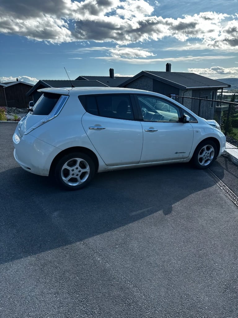 Фото - Nissan Leaf #2