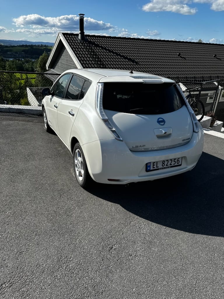 Фото - Nissan Leaf #3