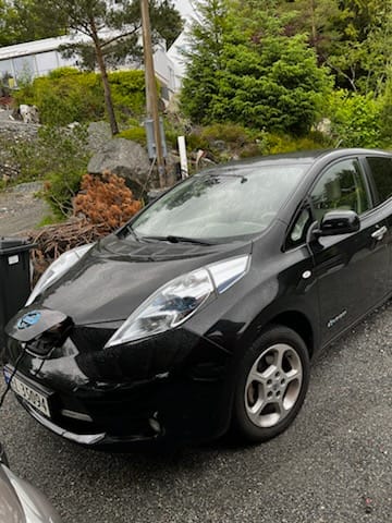 Фото - Nissan Leaf #2