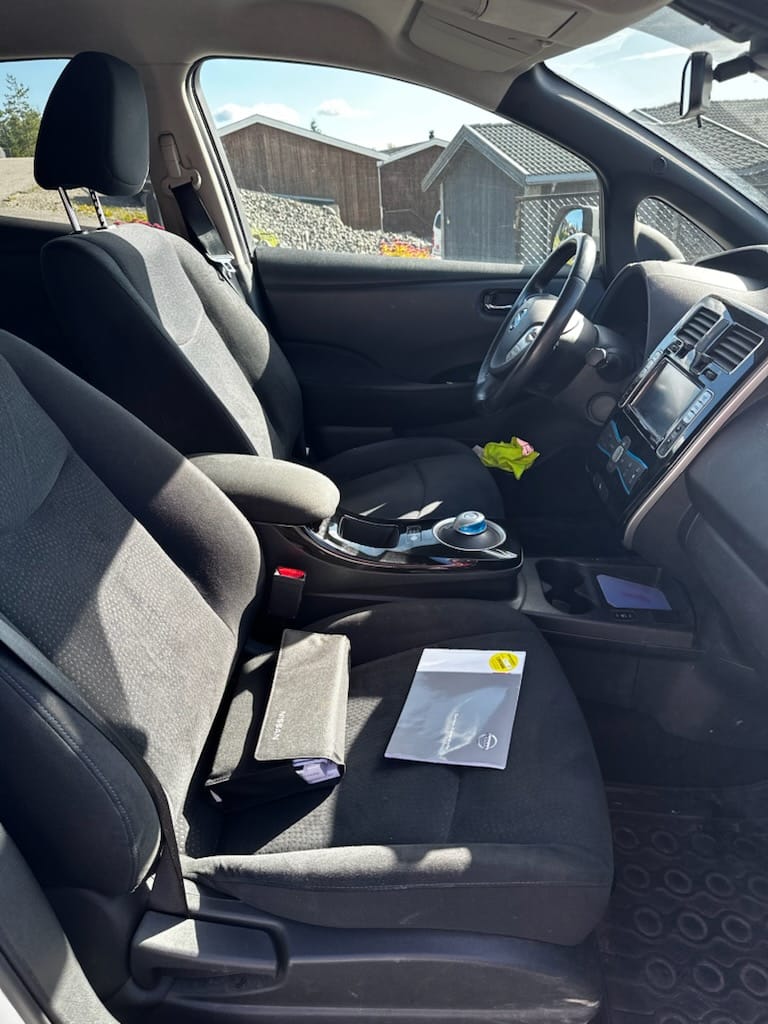 Фото - Nissan Leaf #4