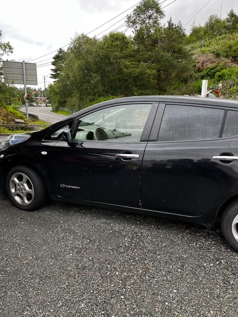 Фото - Nissan Leaf #6