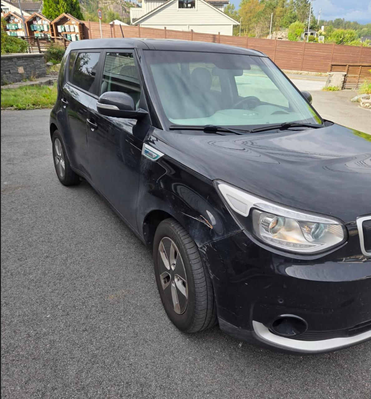 Фото - Kia Soul EV #5