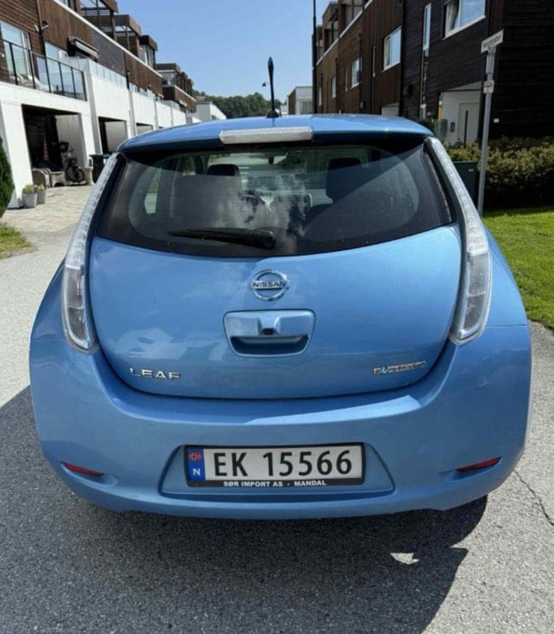 Фото - Nissan Leaf #2