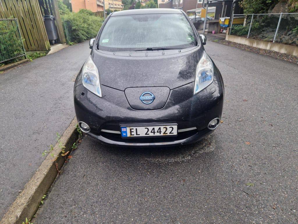 Фото - Nissan Leaf #2