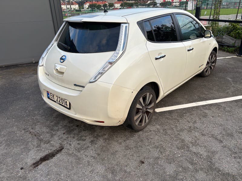 Фото - Nissan Leaf #2