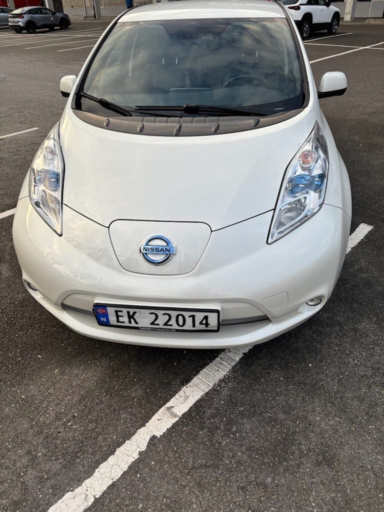 Фото - Nissan Leaf #3