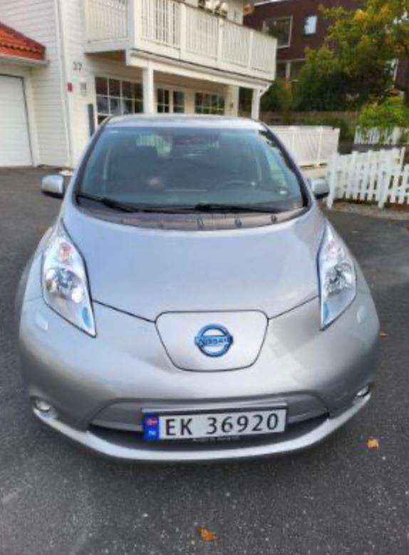 Фото - Nissan Leaf #2