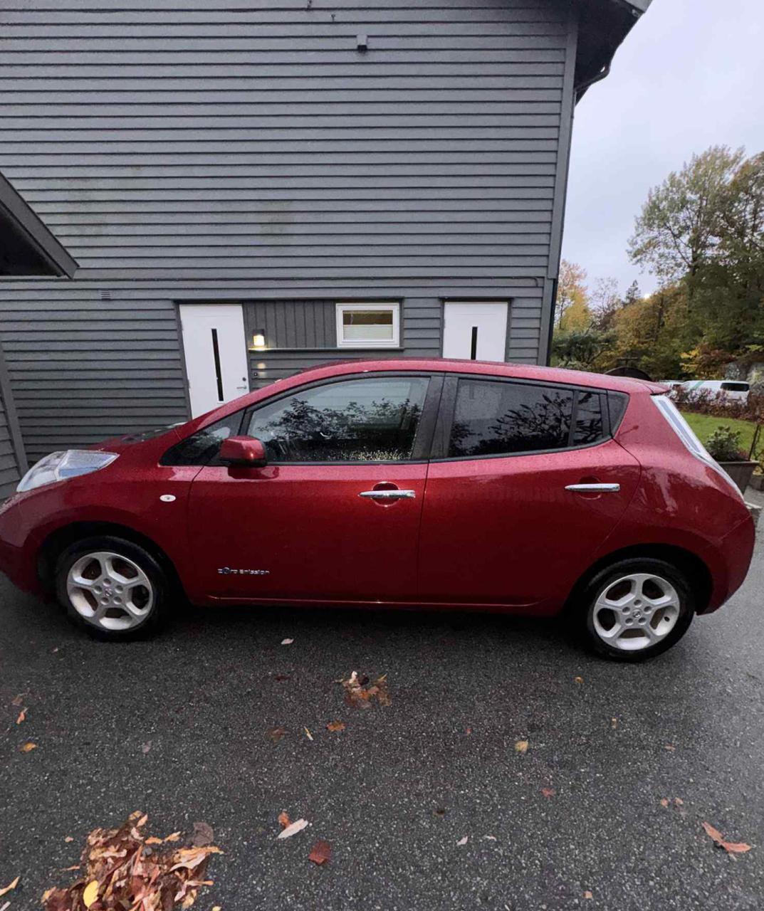 Фото - Nissan Leaf #2