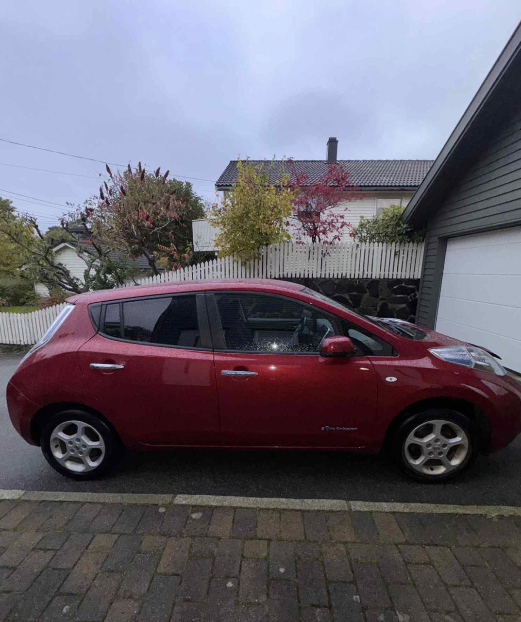 Фото - Nissan Leaf #3