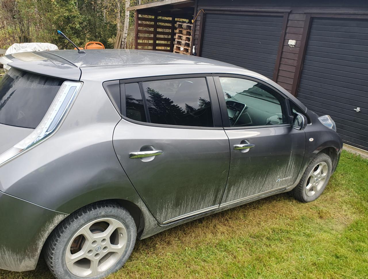 Фото - Nissan Leaf #2