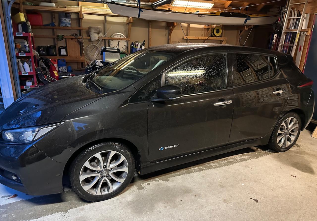 Фото - Nissan Leaf #2