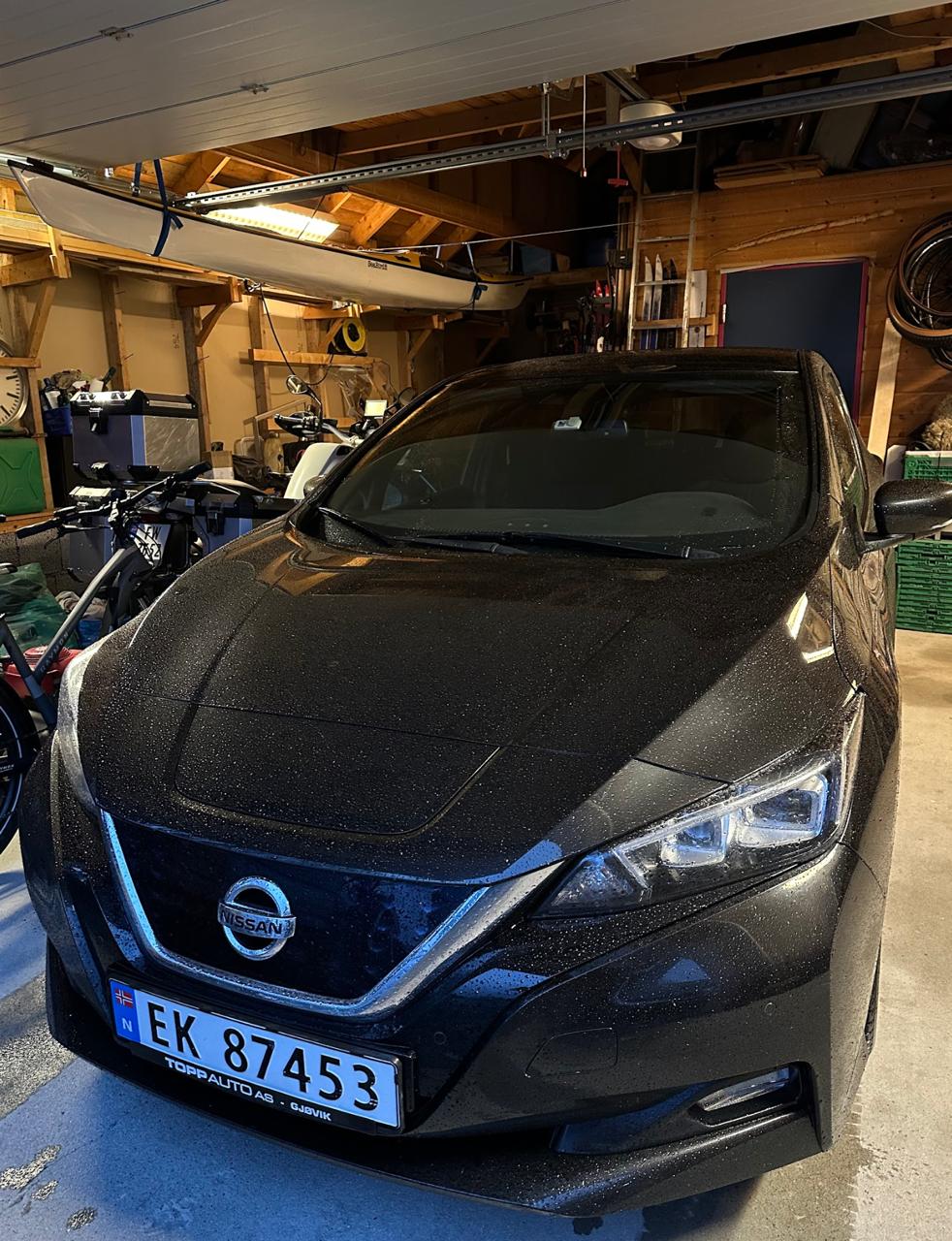 Фото - Nissan Leaf #3