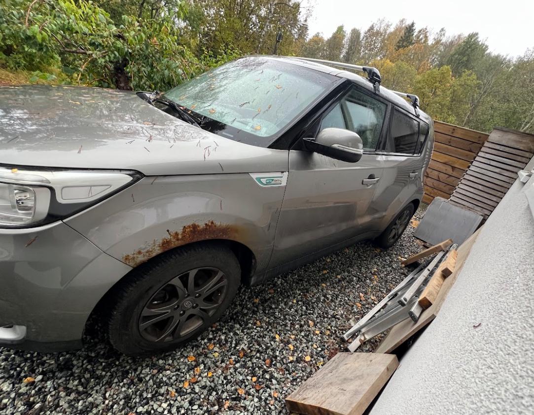 Фото - Kia Soul EV #10