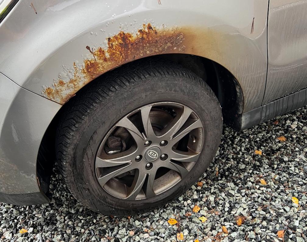 Фото - Kia Soul EV #11