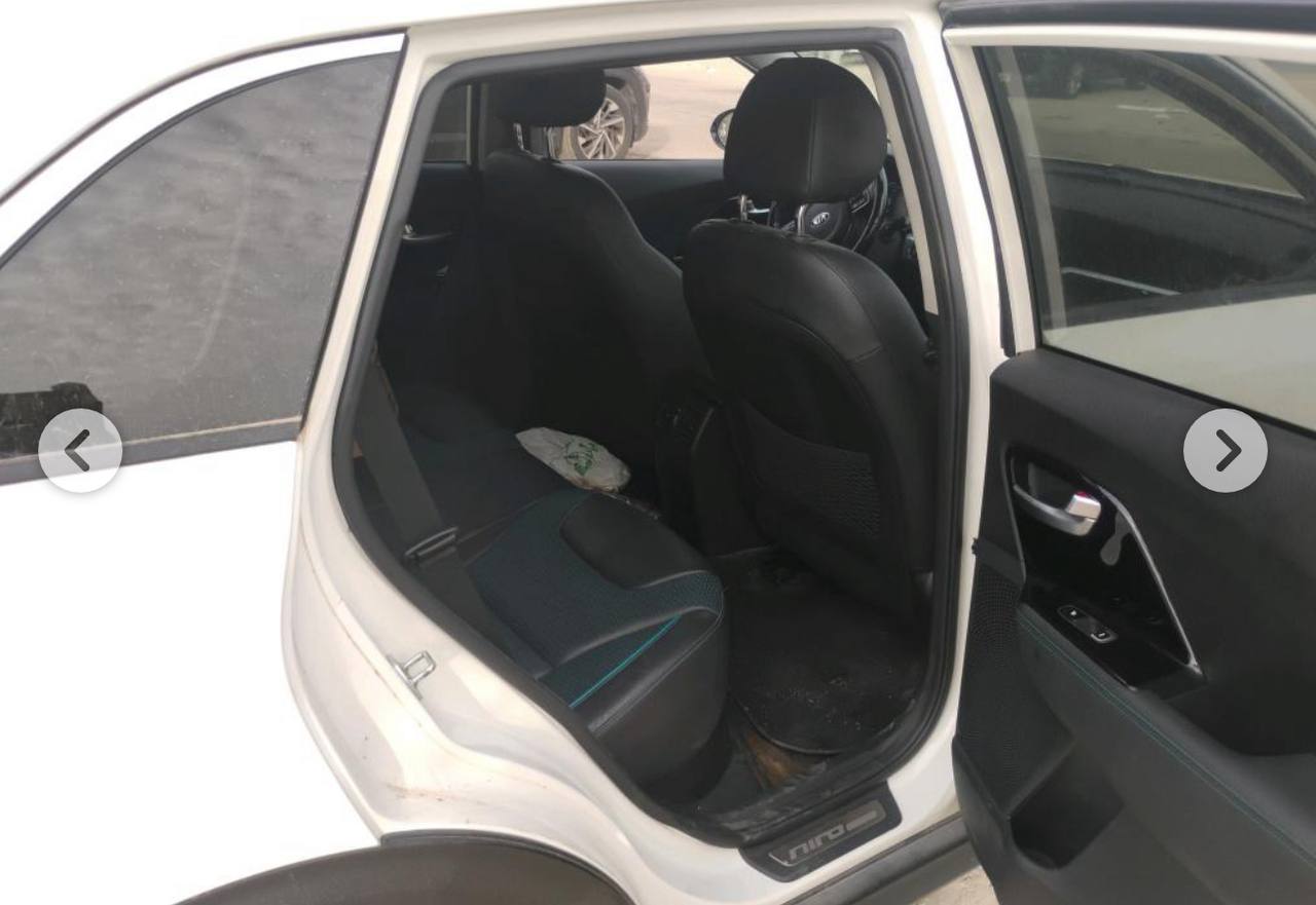 Фото - Kia Niro #4