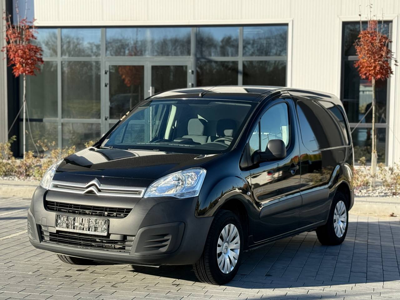 Фото - Citroen Berlingo