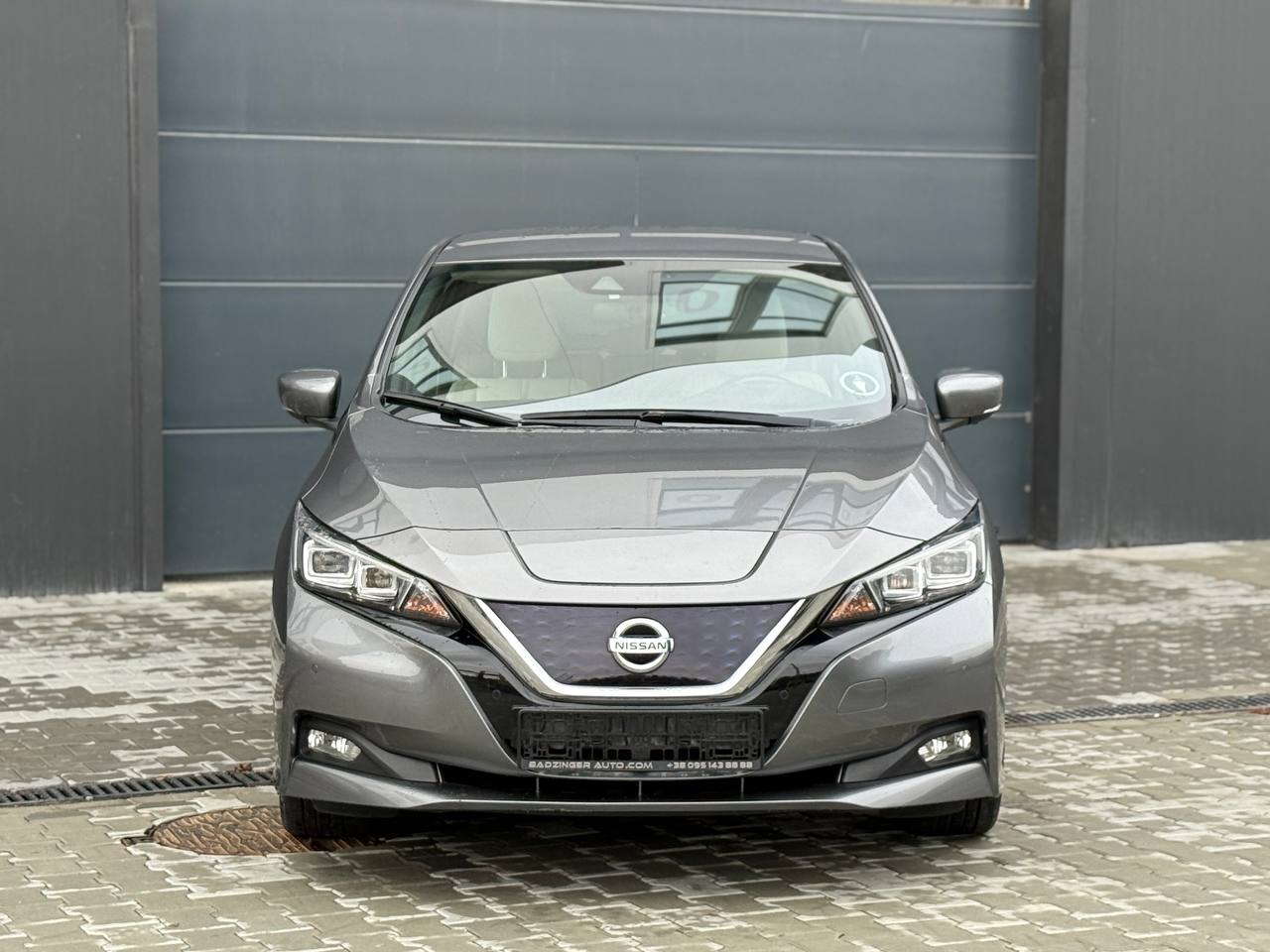 Фото - Nissan Leaf #3
