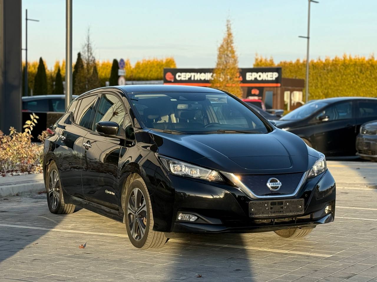 Фото - Nissan Leaf #3