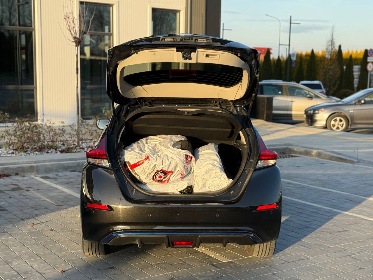 Фото - Nissan Leaf #10