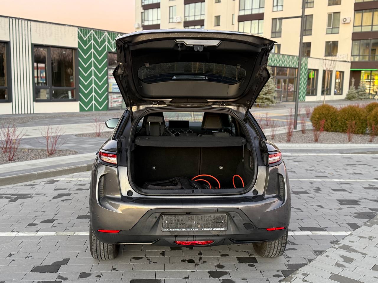 Фото - DS 3 Crossback #10