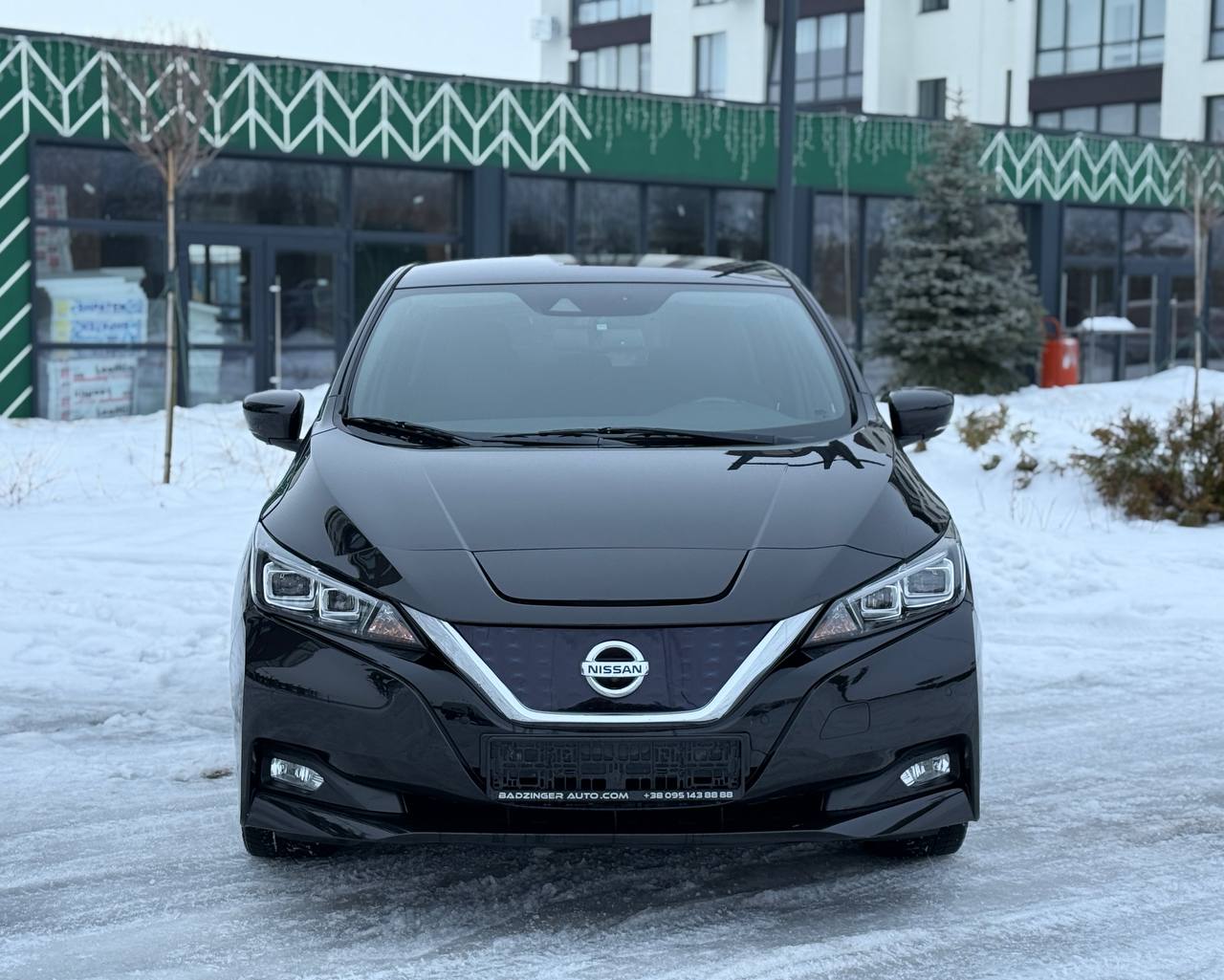 Фото - Nissan Leaf #2