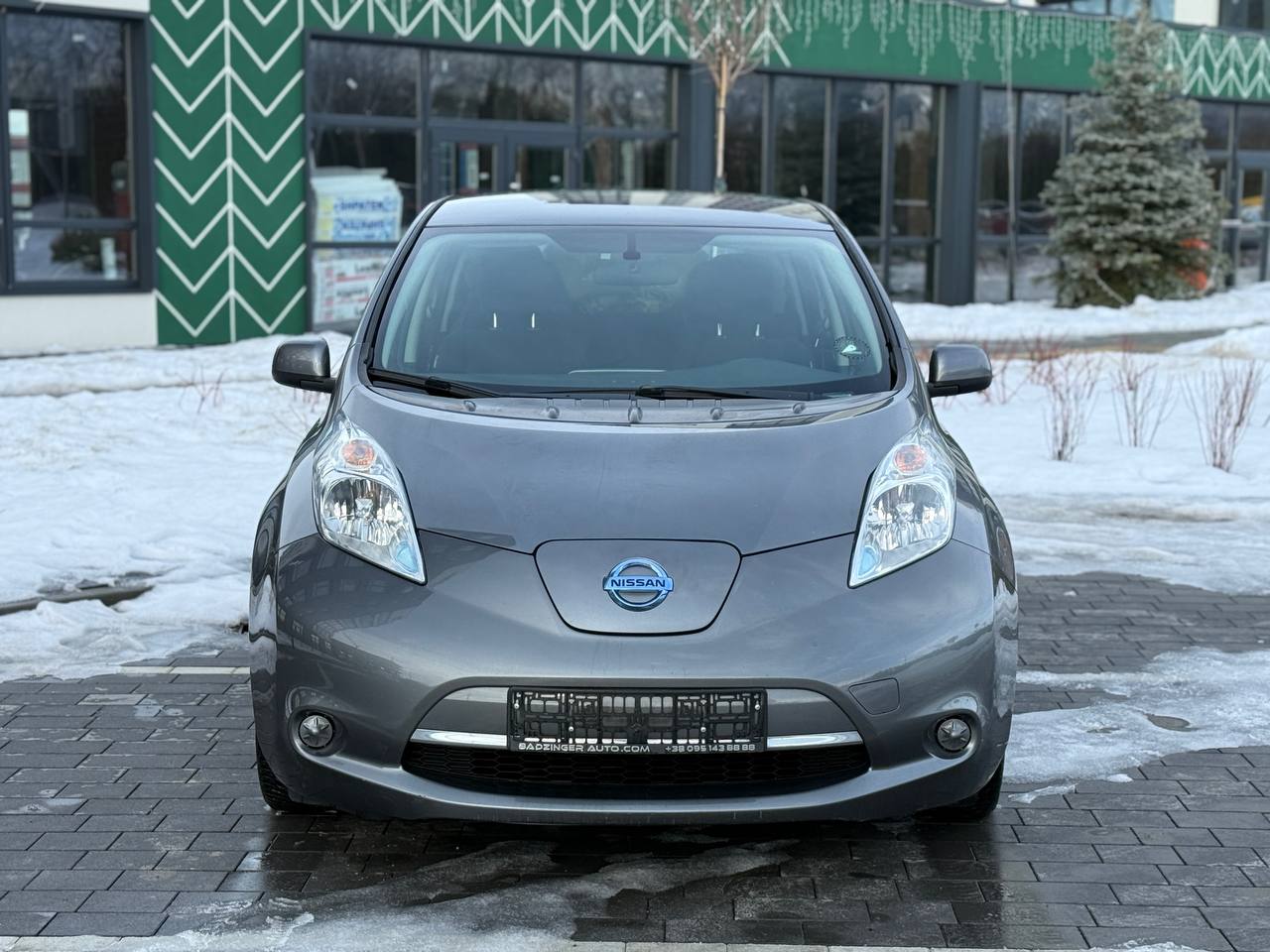 Фото - Nissan Leaf #2