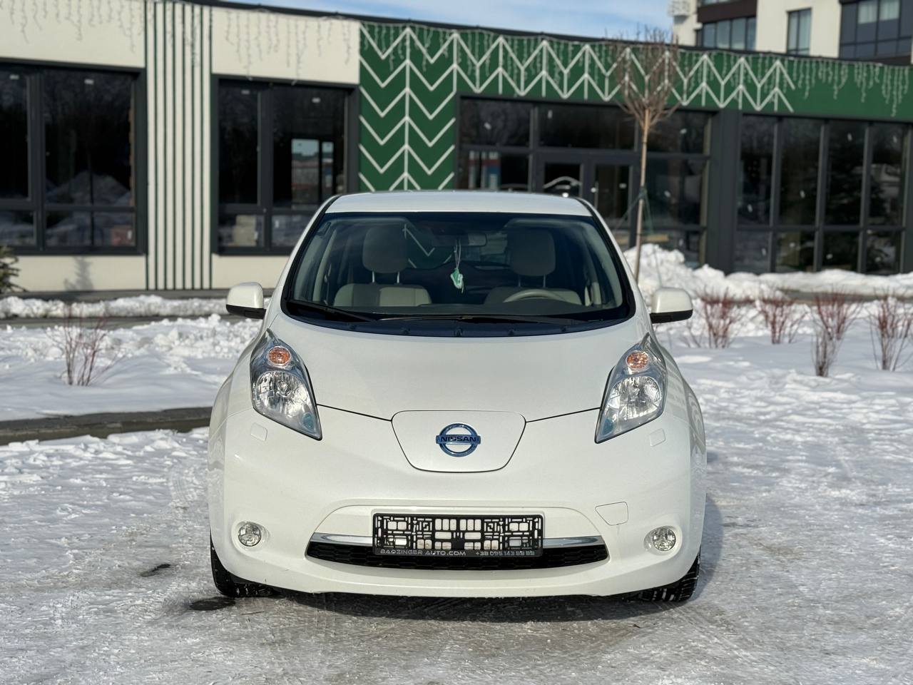 Фото - Nissan Leaf #2