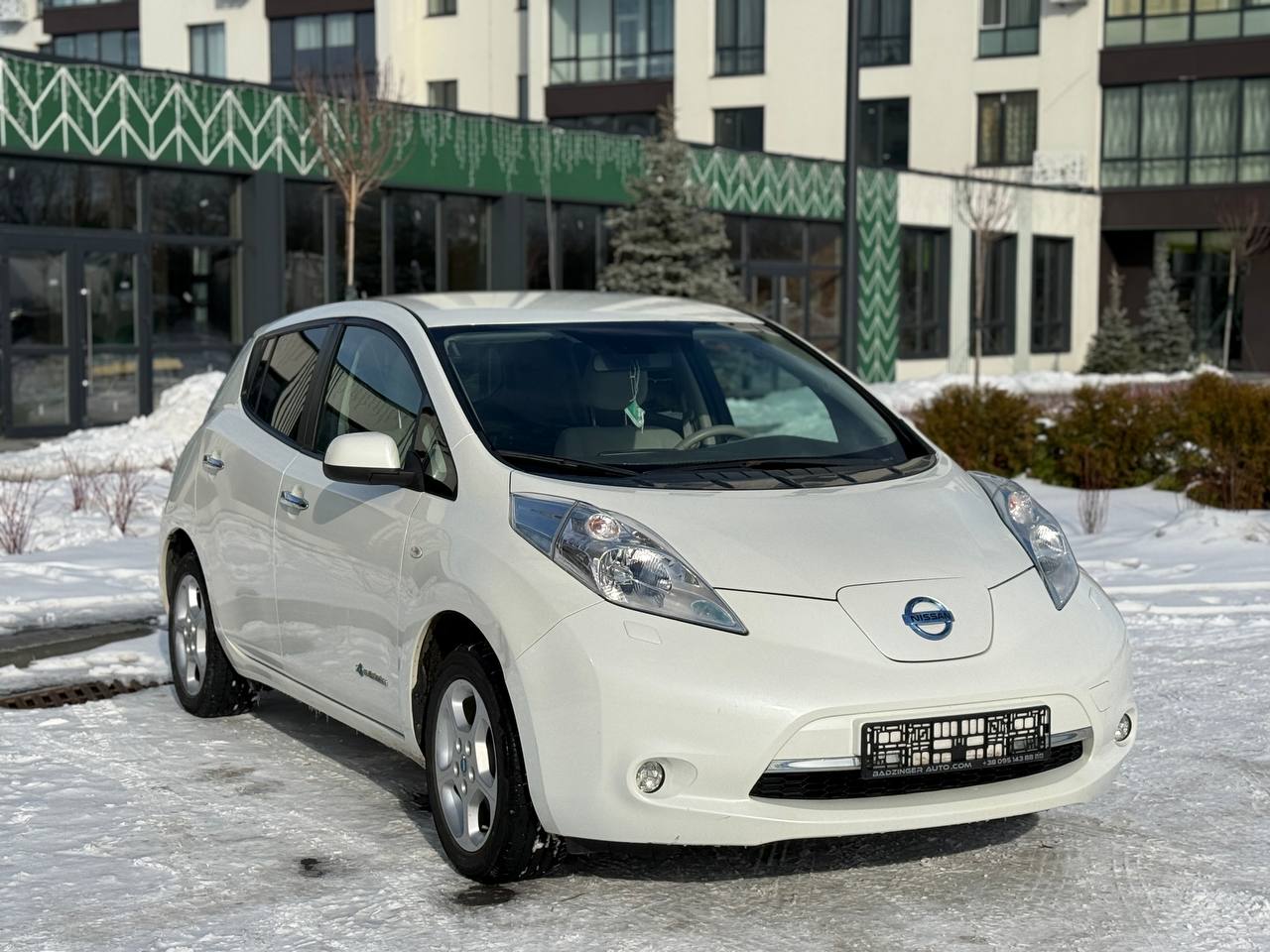 Фото - Nissan Leaf #3