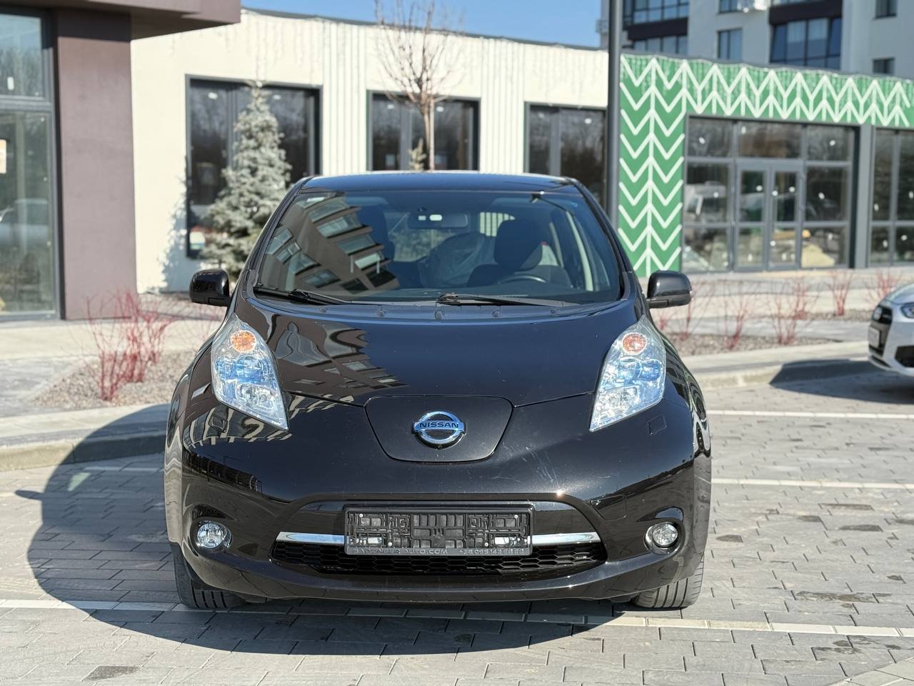 Фото - Nissan Leaf #2