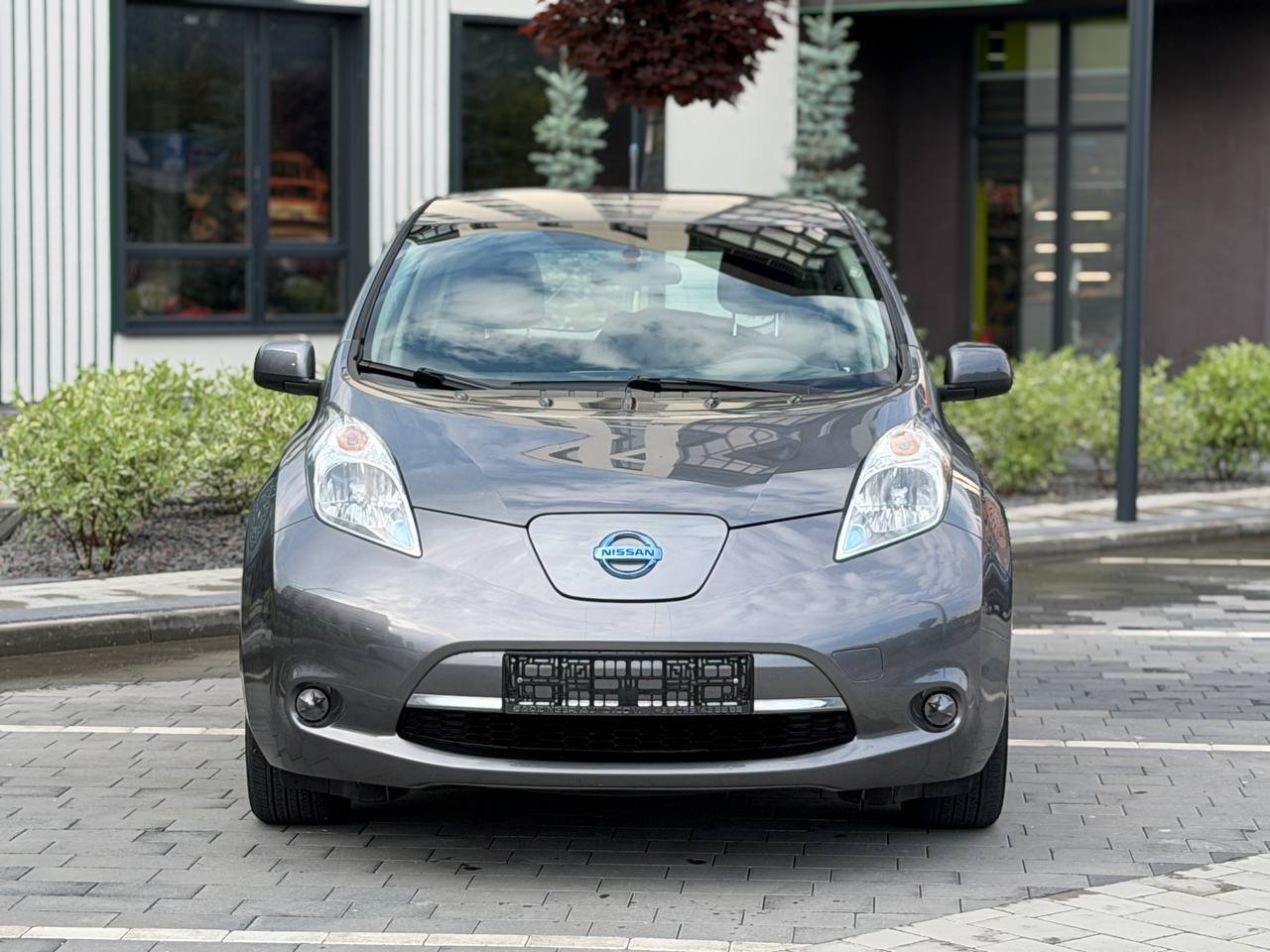 Фото - Nissan Leaf #2
