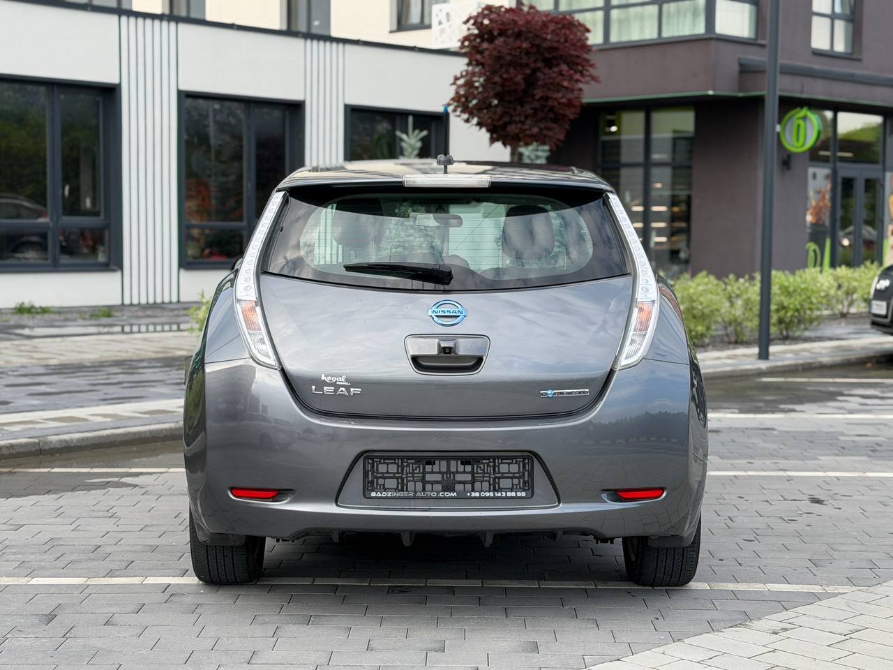 Фото - Nissan Leaf #5