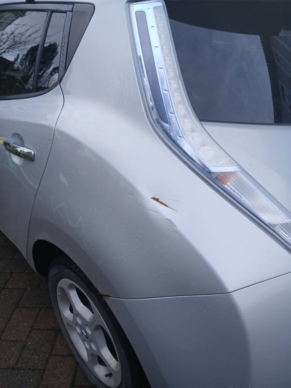 Фото - Nissan Leaf #4