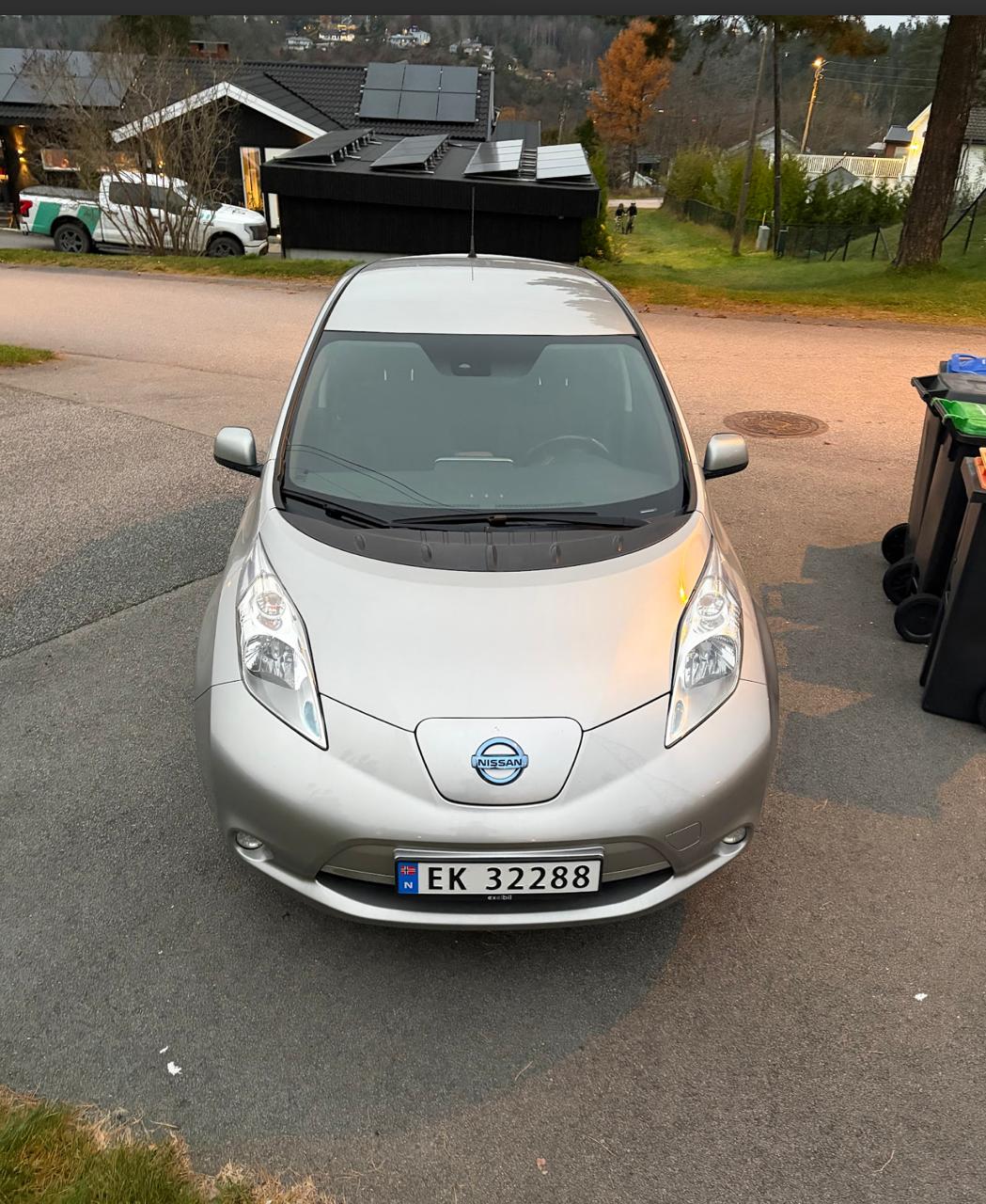 Фото - Nissan Leaf #2