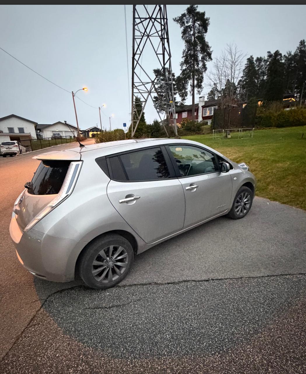 Фото - Nissan Leaf #3