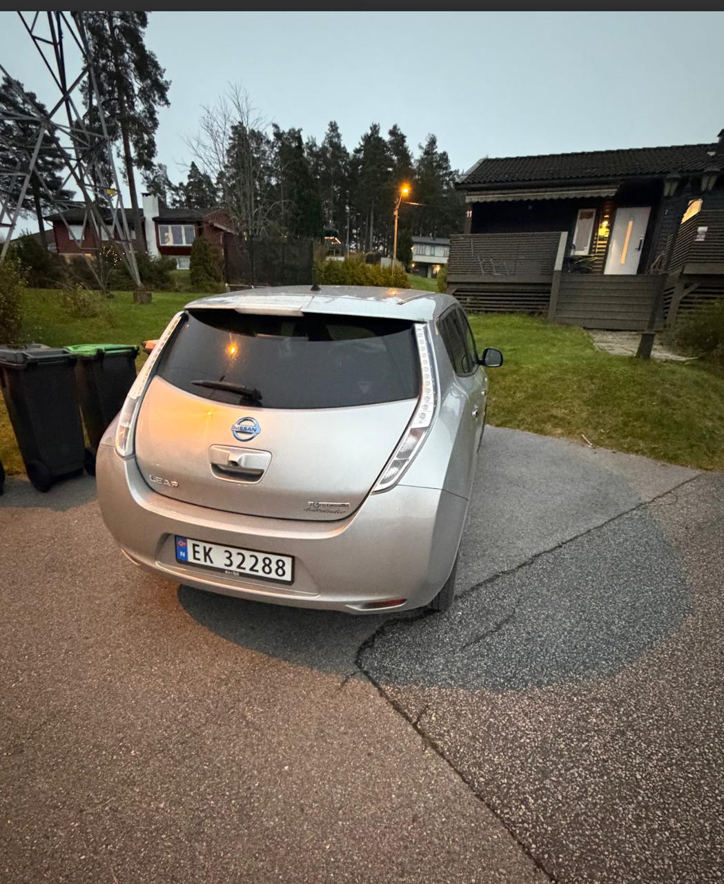 Фото - Nissan Leaf #4