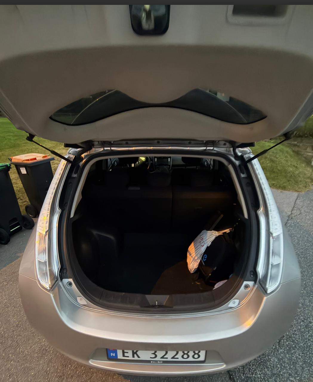 Фото - Nissan Leaf #5