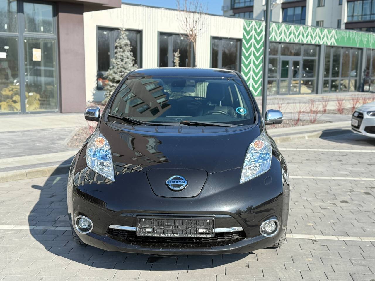 Фото - Nissan Leaf #2